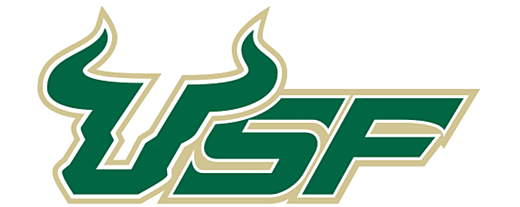 University of South Florida