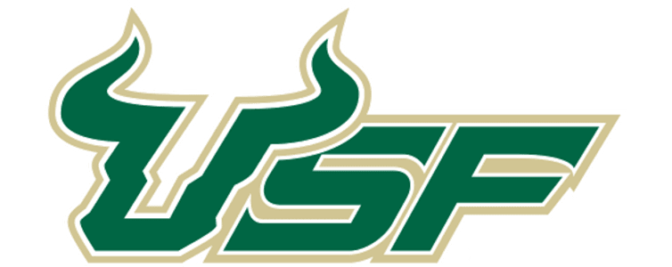 University of South Florida